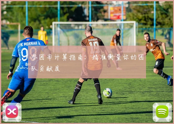 参团率计算指南：精准衡量你的团队贡献度