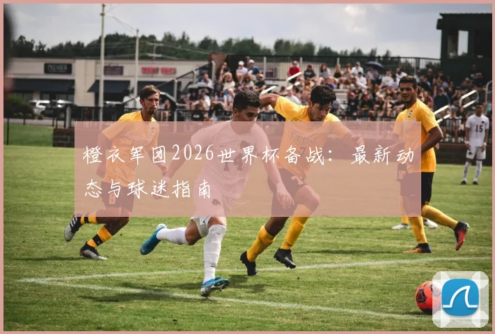 橙衣军团2026世界杯备战：最新动态与球迷指南